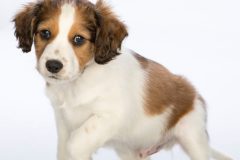 1901107-3A-2-768x1024