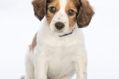 1_1901081-1A-768x1024